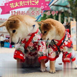  L TVc ybg  a ybgEFA a  Lm     ^