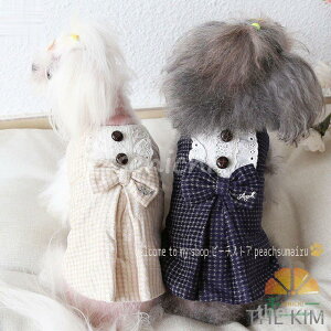 s Ls[X [XhX ybgEGA s hX XJ[g hXR[h ttXJ[g H ~ ^ ^