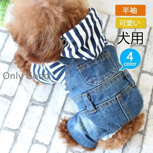  tďH~f fjJo[I[ {[_[ p[J[ _[Wfj Ȃ I[o[I[ fjȂ   ybg