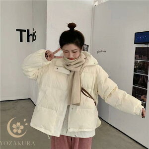 _EWPbg fB[X ȃWPbg ȃ_ER[g t@[t[ht 傫TCY h ۉ V[g  ~  X ~