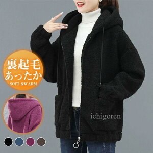 t[XWPbg fB[X {AWPbg t[ht p[J[ u] y  n h ۉ H~ ̌^Jo[  AE^[