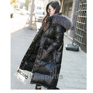 _ER[g ~ OR[g i _EfB[X t@[R[g hQ t[ht AE^[   ʋ OL  2023V