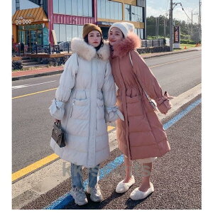 _ER[gfB[X _E OR[g~ h  t[ht JWA t@[R[g p  ꂢ OL  ʋ