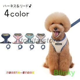 ハーネスリード 2点セット ベストタイプ 犬 猫 ドッグ キャット 小型犬 中型犬 ペット用品 ペットグッズ ハーネス リード 胴輪 無地 メッシュ