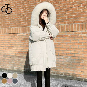 _ER[g fB[X t[ht R[g  ~R[g _E  ʋ AE^[ h ~ g t[htR[g