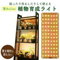 楽天市場】観葉植物 棚（ライト・照明器具｜インテリア・寝具・収納 