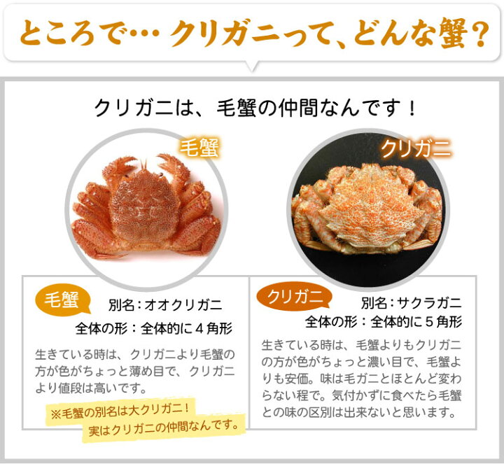 楽天市場 北海道産 子持ち クリ毛ガニ メスだけ詰め込み 約1kg 約10 尾前後入り クリガニ クリ毛蟹 クリ毛がに クリけがに 蟹 カニ かに 送料無料 ギフト 厳選 北海道グルメ かに匠 楽天市場 北海道産 子持ち クリ毛ガニ メスだけ詰め込み 約1kg 約10 尾前後入り クリガニ クリ毛蟹 クリ毛がに クリけがに 蟹 カニ かに 送料無料 ギフト 厳選 北海道グルメ かに匠