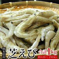 熊本県産 芝えび 合計1kg（約120-150尾前後）国産 芝海老 シバエビ 芝エビ 生冷凍 釣り餌 IQF冷凍 ギフト…
