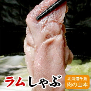  500g XL ₫ Ԃ 500g΃H[ kC ̎R{