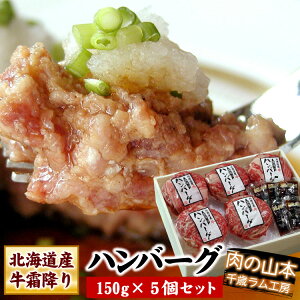 kCY ~no[O΃H[ kC ̎R{