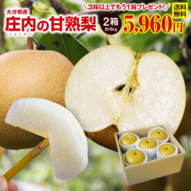楽天市場 大分梨の通販