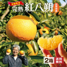 【 送料無料 】 紅八朔 佐賀 有機栽培 2箱セット 1箱あたり約2kg 八朔 はっさく ハッサク 紅はっさく 完熟 みかん 鹿島みかん 有機 みかん オーガニック 蜜柑 柑橘 フルーツ 果物 果実 果肉 九州 ご当地 お取り寄せ お取り寄せフルーツ 3箱以上で 送料無料 まるかじり九州