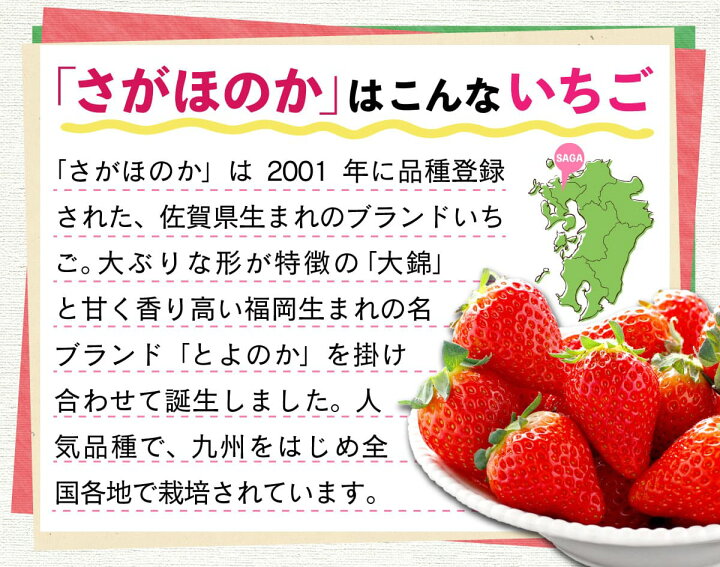 楽天市場 いちご さがほのか 宮崎産 イチゴ 4箱 約1 6kg 1箱 約400g 15粒 Or 18粒 送料無料 産地直送 イチゴ 佐賀ほのか ブランドいちご 苺 いちご イチゴ ギフト 苺 贈答 プレゼント お取り寄せ まるかじり九州