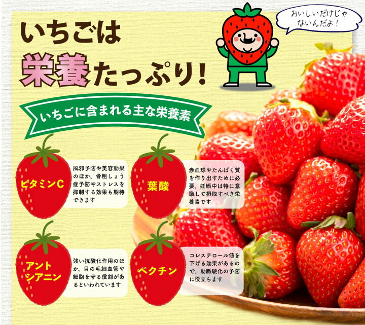 楽天市場 いちご さがほのか 宮崎産 イチゴ 4箱 約1 6kg 1箱 約400g 15粒 Or 18粒 送料無料 産地直送 イチゴ 佐賀ほのか ブランドいちご 苺 いちご イチゴ ギフト 苺 贈答 プレゼント お取り寄せ まるかじり九州