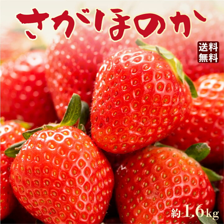 楽天市場 いちご さがほのか 宮崎産 イチゴ 4箱 約1 6kg 1箱 約400g 15粒 Or 18粒 送料無料 産地直送 イチゴ 佐賀ほのか ブランドいちご 苺 いちご イチゴ ギフト 苺 贈答 プレゼント お取り寄せ まるかじり九州