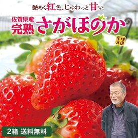【 送料無料 】 さがほのか いちご 佐賀 2箱セット 1箱あたり約400g(15粒または18粒) 苺 産地直送 農家直送 産直 九州 人気 お取り寄せ ご当地 グルメ フルーツ 果物 贈答 ギフト フルーツギフト あまおう に負けない甘さ クール便 冷蔵便 まるかじり九州