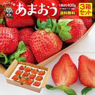 送料無料【 楽天ランキング1位 】 あまおう いちご 福岡 3箱セット 1箱あたり約400g 苺 イチゴ グランデ …