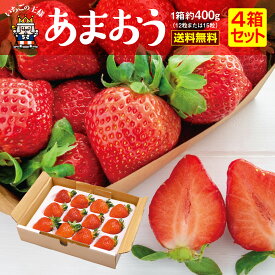 【楽天ランキング入賞】［送料無料］ いちご あまおう 福岡産 苺 あまおう 4箱 約1.6kg グランデ あまおう イチゴ 人気 大粒 ギフト 贈答 プレゼント 産地直送 農家直送 福岡