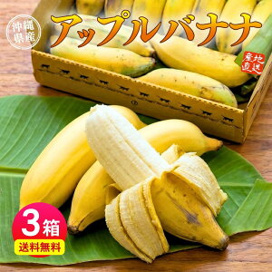 �y�y�V�����L���O1�ʁz ���� �A�b�v���o�i�i 3���Z�b�g 1���������1kg(6�`20�{) �o�i�i �΂Ȃ� ��� ��񂲕����̃o�i�i ���Y �썑 �Y�n���� �_�ƒ��� ������ �O���� �����n �ʕ� �t���[