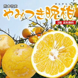 【 送料無料 】晩柑 河地晩柑 熊本 やみつき晩柑 3箱セット 1箱あたり約2kg(5〜8玉) 国産 熊本県産 九州 産地直送 農家直送 さっぱりした甘み ジューシー オレンジ 柑橘 フルーツ 果物 ご当地 お取り寄せ お取り寄せフルーツ 39ショップ まるかじり九州