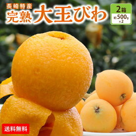 送料無料 【 楽天ランキング1位 】大玉 びわ 2箱セット 1箱あたり9玉 (2Lサイズ) ビワ 枇杷 長崎 樹上 完熟 長崎県産 九州 産地 農家 直送 期間限定 果物 フルーツ お土産 39ショップ まるかじり九州