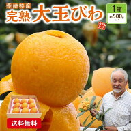 【 楽天ランキング1位 】大玉 びわ 長崎 1箱 9玉 (2Lサイズ) ビワ 枇杷 完熟 長崎県産 九州 産地 農家 直…