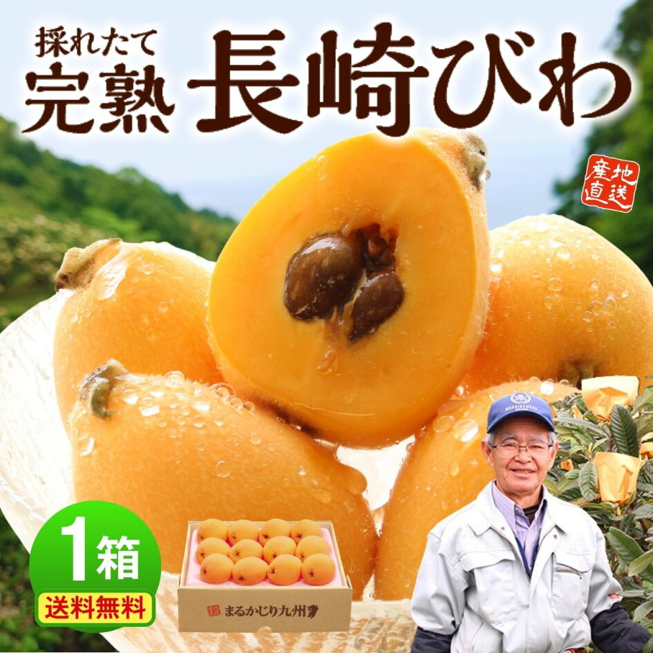 楽天市場 | まるかじり九州 - 【びわ】茂木びわなど旬の長崎完熟びわを 