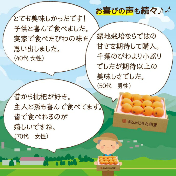 【終売間近!】【楽天ランキング1位】完熟長崎びわ びわ ビワ 完熟びわ 長崎びわ 完熟長崎びわ 39ショップ 3箱 (500g/Lサイズ12玉)×3箱 長崎県 茂木 茂木びわ 枇杷 biwa 農家直送 産地直送 プレゼント 贈答 <ご注文から1週間前後で発送> まるかじり九州 おばあちゃんの佐賀の茂木 びわ Sサイズ