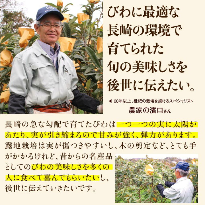 【終売間近!】【楽天ランキング1位】完熟長崎びわ びわ ビワ 完熟びわ 長崎びわ 完熟長崎びわ 39ショップ 3箱 (500g/Lサイズ12玉)×3箱 長崎県 茂木 茂木びわ 枇杷 biwa 農家直送 産地直送 プレゼント 贈答 <ご注文から1週間前後で発送> まるかじり九州 おばあちゃんの佐賀の茂木 びわ 訳あり Lサイズ