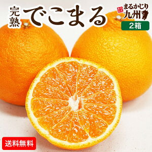 y  z sm ʂ ݂ Y nł܂ 2Zbg 12kg(L`3L 6`9) s fR|  i t  F{ B  ~J IW Yn k ʕ 