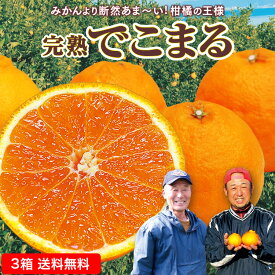 【 送料無料 】 不知火 しらぬい みかん 国産 完熟でこまる 3箱セット 1箱あたり約2kg(L〜3L混合 6～9玉) 《 デコポン と 同品種 》 佐賀 熊本 九州 蜜柑 ミカン オレンジ 産地直送 柑橘 果物 お取り寄せ ご当地 ご当地グルメ ご自宅用 ご家庭用 39ショップ まるかじり九州