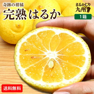 y  z ͂邩 ݂  1 2kg(9`14) Ղ݂̂ k n t݂ Â  Yn _  Y B ς肵Â _}Ch W[V[ Hׂ 