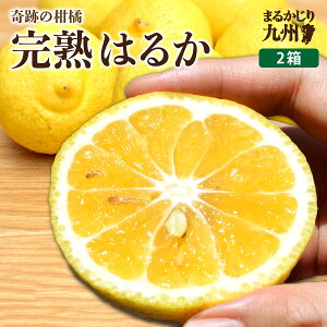 y  z ͂邩 ݂  2Zbg 12kg(9`14) Ղ݂̂ k n t݂ Â  Yn _  Y B ς肵Â _}Ch W[V[ 