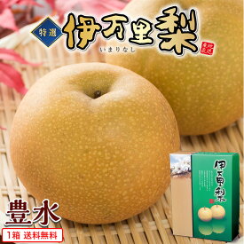 【 送料無料 】 梨 豊水 佐賀 伊万里梨 1箱 約2.5kg(5～8玉入り) 伊万里 赤梨 なし ナシ 甘梨 和梨 九州 国産 産地直送 農家直送 お取り寄せ お取り寄せフルーツ 果物 プレゼント 贈答 ギフト お中元 お供え 甘い 39ショップ まるかじり九州
