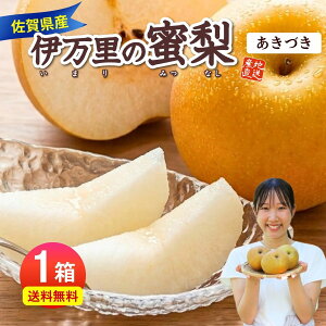 �� �����Â� ���� �ɖ����̖��� 1�� ��2kg(4�ʓ���) �ԗ� �Ȃ� �i�V �×� �a�� �Y�n���� �_�ƒ��� ������ �t���[�c �ʕ� �v���[���g ���� �M�t�g �V�N �Â� 39�V���b�v �܂邩�����B