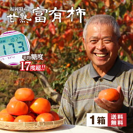 【12/22までのご注文で年内発送予定】送料無料 楽天ランキング1位 富有柿 柿 福岡 農家 直送 1箱 約2kg 7～10玉 甘柿 糖度17度超 甘熟 完熟 秀品 甘い かき ふゆがき ふゆうがき 種あり うきは 硬め サクサク 産地 直送 冬ギフト 贈答 39 サンキュー ショップ まるかじり九州