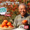送料無料 楽天ランキング1位 富有柿 柿 福岡 農家 直送 2箱セット 約4kg 1箱あたり7～10玉 甘柿 糖度17度超 甘熟 完熟 秀品 甘い かき ふゆがき ふゆうがき 種あり うきは 硬め サクサク 産地 39 サンキュー ショップ まるかじり九州