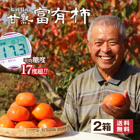 送料無料 楽天ランキング1位 富有柿 柿 福岡 農家 直送 2箱セット 約4kg 1箱あたり7～10玉 甘柿 糖度17度超 甘熟 完熟 秀品 甘い かき ふゆがき ふゆうがき 種あり うきは 硬め サクサク 産地 39 サンキュー ショップ まるかじり九州