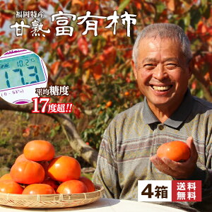 �������� �y�V�����L���O1�� �x�L�` �` ���� �_�� ���� 4���Z�b�g ��8kg 1��������7�`10�� �Ê` ���x17�x�� �Ïn ���n �G�i �Â� ���� �ӂ䂪�� �ӂ䂤���� �킠�� ������ �d�� �T�N�T�N �Y�n 39 