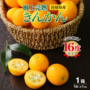  y yVLO1 z{ Y 񂩂  n ߂Ⴊ 1 2LTCY(1kg) 143ʁ`51 Yn B 嗱 ㊮n  炲 Hׂ Â x16x