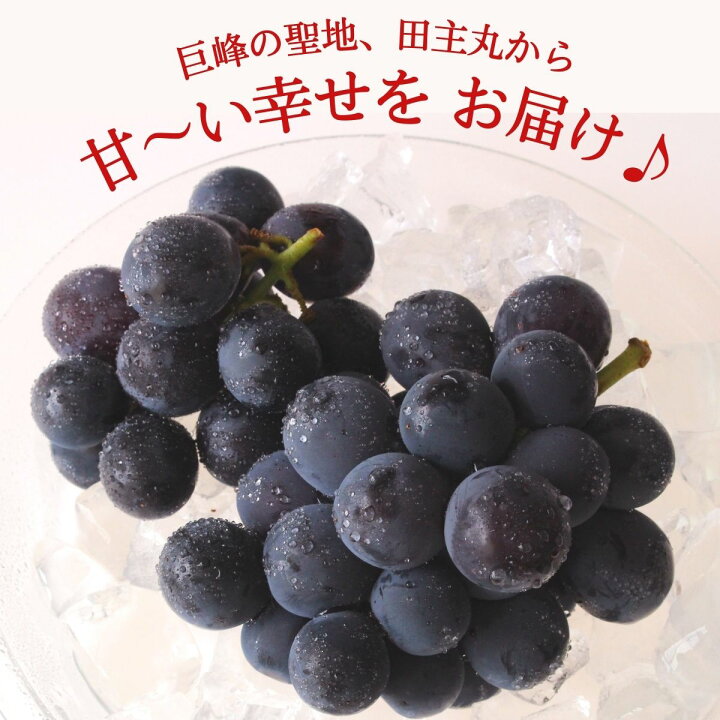 楽天市場】【楽天ランキング1位】 ぶどう 巨峰 福岡 完熟巨峰 1箱 1.5kg(3〜5房) 【3箱以上で送料無料】産地直送 福岡県産 朝採り 旬 ブドウ 葡萄 巨峰 ぶどう 種あり 露地栽培 果物 フルーツ ギフト プレゼント 贈答 田主丸 : まるかじり九州 楽天市場】【楽天ランキング1位】 ぶどう 巨峰 福岡 完熟巨峰 1箱 1.5kg(3〜5房) 【3箱以上で送料無料】産地直送 福岡県産 朝採り 旬 ブドウ 葡萄 巨峰 ぶどう 種あり 露地栽培 果物 フルーツ ギフト プレゼント 贈答 田主丸 : まるかじり九州