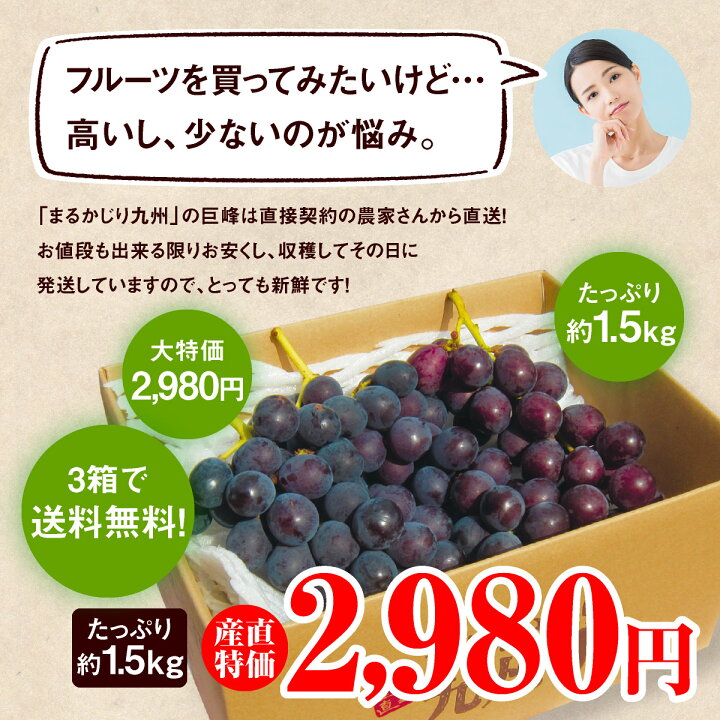 楽天市場】【楽天ランキング1位】 ぶどう 巨峰 福岡 完熟巨峰 1箱 1.5kg(3〜5房) 【3箱以上で送料無料】産地直送 福岡県産 朝採り 旬 ブドウ 葡萄 巨峰 ぶどう 種あり 露地栽培 果物 フルーツ ギフト プレゼント 贈答 田主丸 : まるかじり九州 楽天市場】【楽天ランキング1位】 ぶどう 巨峰 福岡 完熟巨峰 1箱 1.5kg(3〜5房) 【3箱以上で送料無料】産地直送 福岡県産 朝採り 旬 ブドウ 葡萄 巨峰 ぶどう 種あり 露地栽培 果物 フルーツ ギフト プレゼント 贈答 田主丸 : まるかじり九州