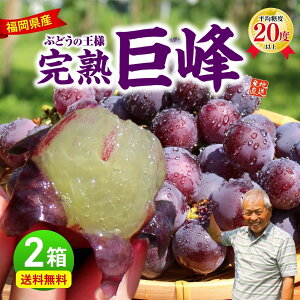 �y �y�V�����L���O1�� �z ���� ���� 2���Z�b�g 1��������1.5kg(3�`5�[) ���n���� �킠�� �Ԃǂ� �u�h�E ��B �c��� ������ ������ �_�ƒ��� �Y�n���� �����n ���̂� �{�̃t���[�c �I�n�͔| 