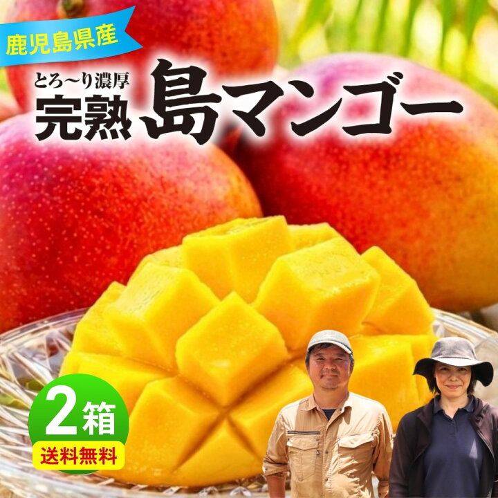 楽天市場】マンゴー 奄美 鹿児島県産 2箱セット 1箱あたり約1kg(2玉～3 