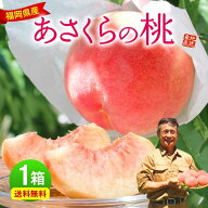 まもなく終売【 楽天ランキング1位 】 福岡県産 桃 もも 白桃 あさくらの桃 1箱 約1.5kg(5～7玉) モモ あ…