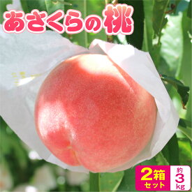 送料無料【 楽天ランキング1位 】福岡県産 桃 もも 白桃 あさくらの桃 2箱セット 1箱あたり約1.5kg(5～7玉) モモ あかつき なつおとめ 九州 お取り寄せ ご当地 産地直送 ご自宅用 ご家庭用 果物 フルーツ 人気 クール便 冷蔵便 お盆 お供え まるかじり九州