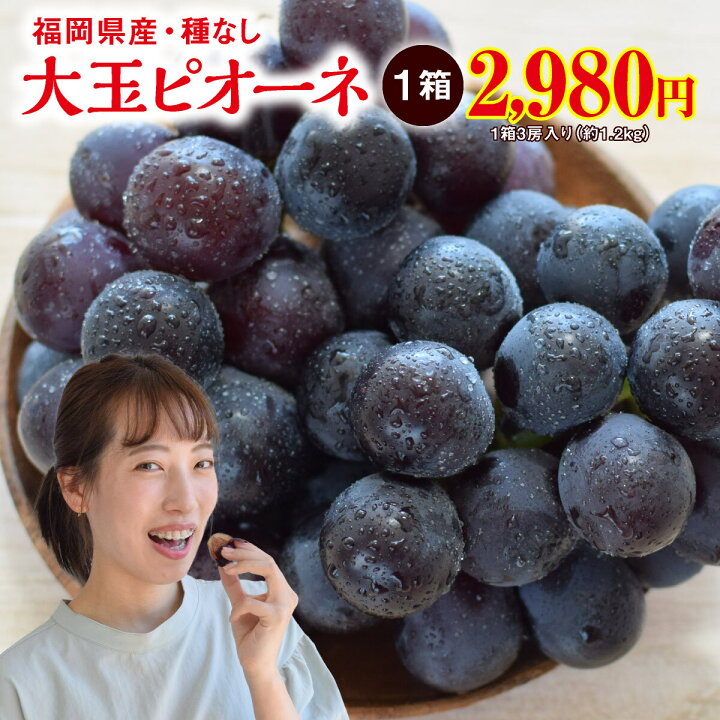 楽天市場 楽天ランキング1位 ぶどう ピオーネ 福岡 大玉ピオーネ 種なし １箱 1 2kg 3房 1箱 3箱以上で送料無料 巨峰とマスカットのいいとこどり 大粒 産地直送 田主丸 旬 ブドウ 葡萄 人気 おすすめ 贈答 フルーツギフト お取り寄せ お買い得 まるかじり九州