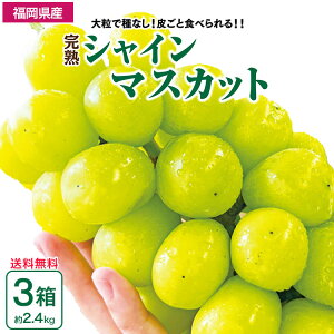y  z VC}XJbg Mtg  3Zbg 1800g(2`3[)  Ԃǂ Yn Y B 炲ƐHׂ Ȃ   n nO  Mt