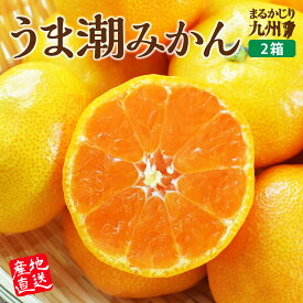 【 送料無料 】 熊本 佐賀 温州みかん うま潮みかん 2箱セット 1箱あたり約2.5kg (2S～Lサイズ混合) みかん 産地直送 産直 九州 有明海 早生 中手 晩生 露地栽培 蜜柑 お取り寄せ ご当地 ご当地グルメ お歳暮 御歳暮 冬ギフト 贈り物 贈答 39ショップ まるかじり九州