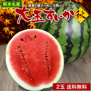  y yVLO1 zHXCJ c  F{ 2ʃZbg 1ʂ7`8kg 2LTCY XCJ  Z Y F{Y B 킠 Â W[V[ Yn  